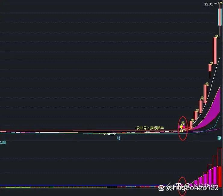 主力进出指标_主力进出使用方法_资金进出指标