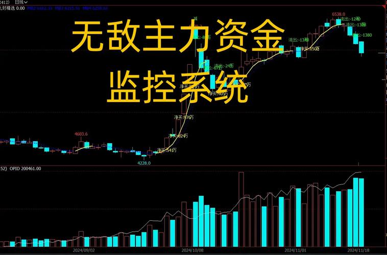 超级资金和游资资金指标实战应用_资金监视器指标使用方法_主力资金监控指标