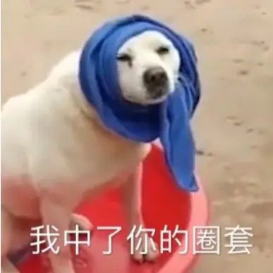 股票玩配资的是骗局_配资套路是什么_股市配资骗局