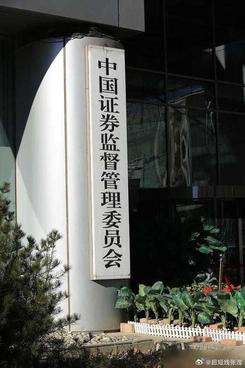 操纵市场处罚 证监会 配资案件_证监会严打股票配资