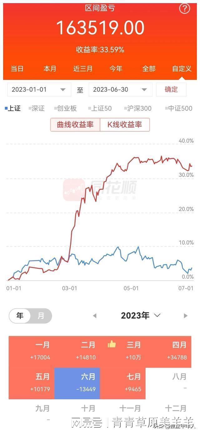 2023年上半年股票盈亏情况_股票收益统计软件_个人股票交易记录分析
