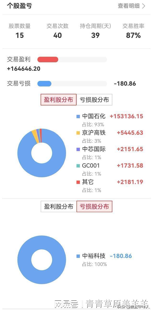 股票收益统计软件_个人股票交易记录分析_2023年上半年股票盈亏情况