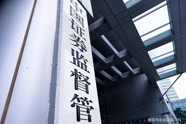 证券犯罪全链条追诉_证监会严打股票配资_资本市场财务造假打击