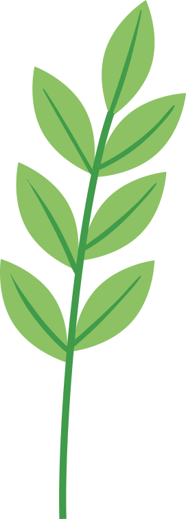 股票账户app_股票分账户软件_账户股票软件分类