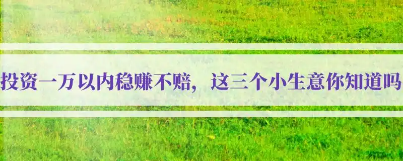 一万元以下投资小项目_稳赚不赔小生意项目 _ 一万以内零成本创业项目 