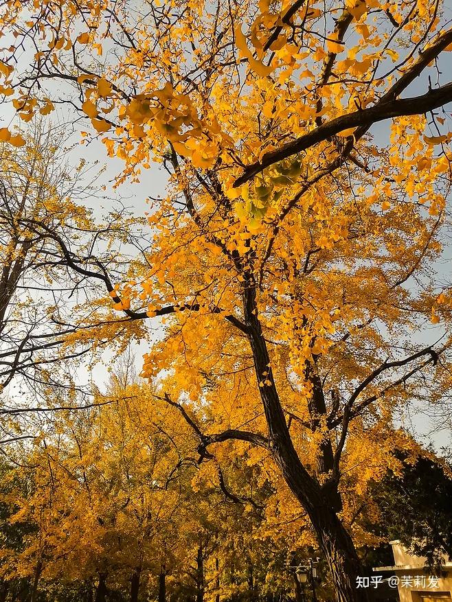 青岛哪家证券公司好_青岛酒店推荐_青岛旅游攻略