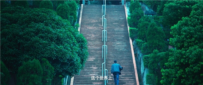 金钱堡垒电影投资陷阱_股票配资常识_股市避坑指南