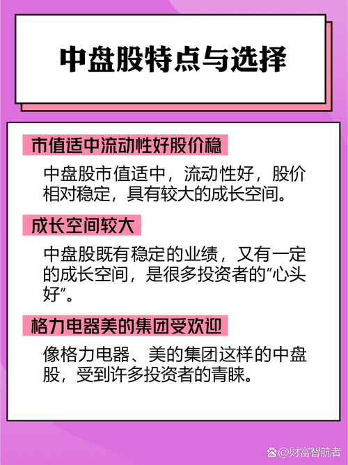 大小盘股分析技巧_大盘股小盘股投资策略_股票盘子大小怎么看