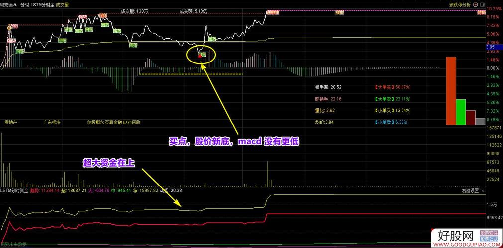大单中单小单资金流分析_分时资金流入指标_资金进出指标
