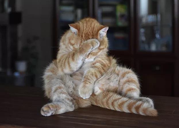 A股市场配资风险_股票配资软件开发_场外配资监管