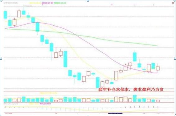 股票投资中输赢家比例分析_拉涨停需要多少资金_赢家眼里的股票投资规则