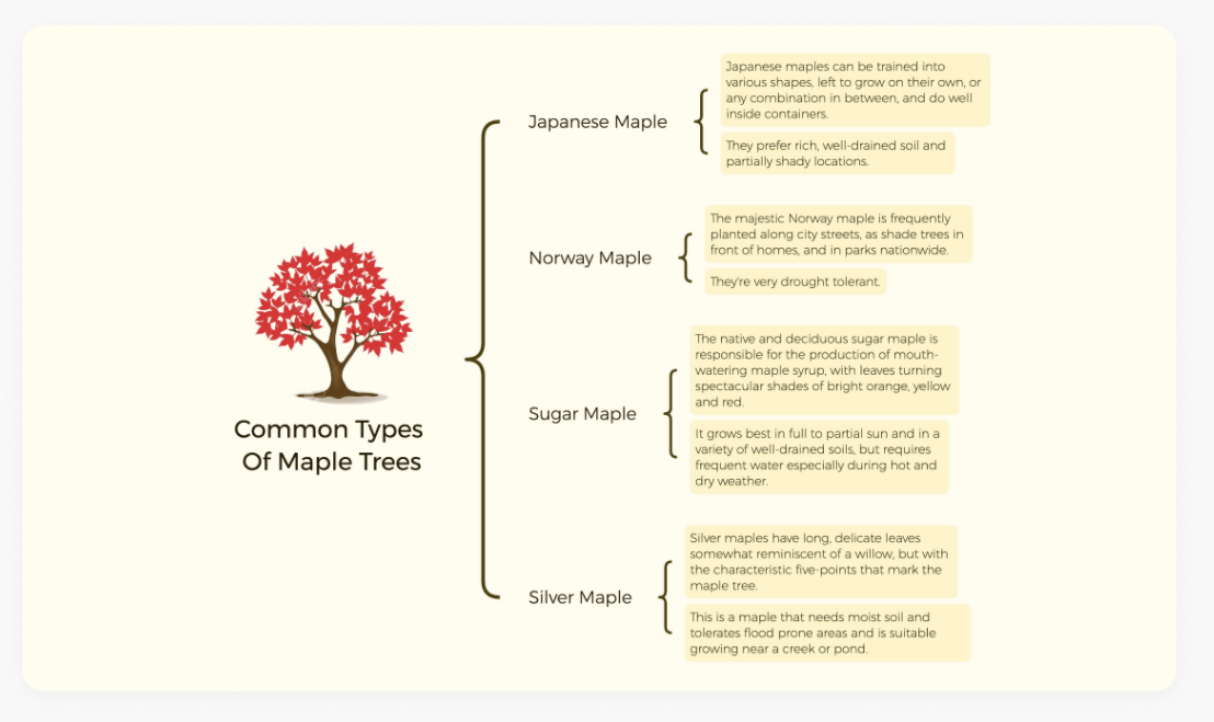 免费量化交易软件_在线思维导图工具排名_免费思维导图工具推荐