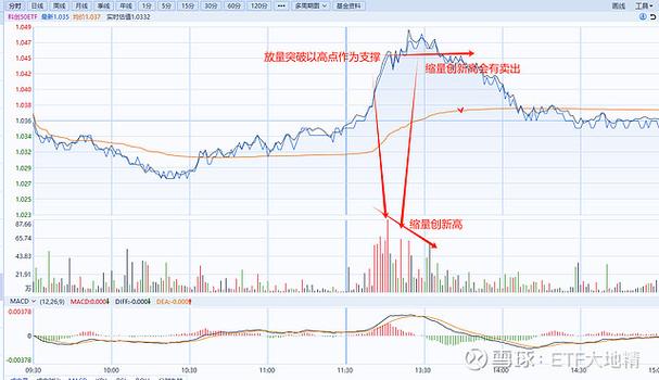 线上股票配资_市场监控策略_股票资金监控
