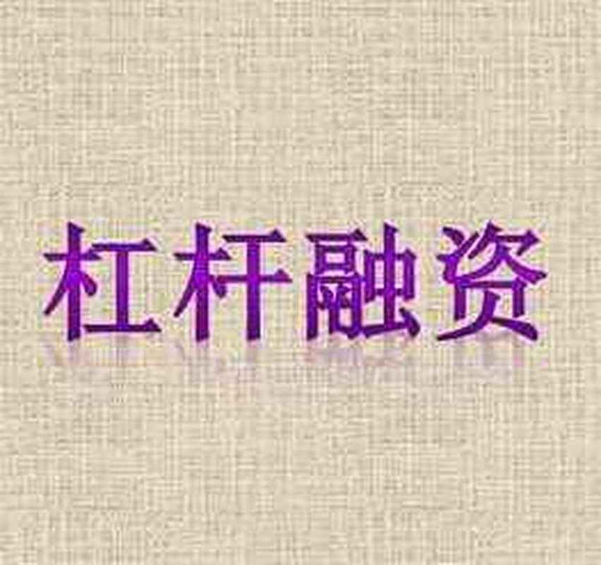 银行视角下的金融杠杆水平_金融杠杆本质是什么在哪里有多少_杠杆推荐. 快盈盘配资