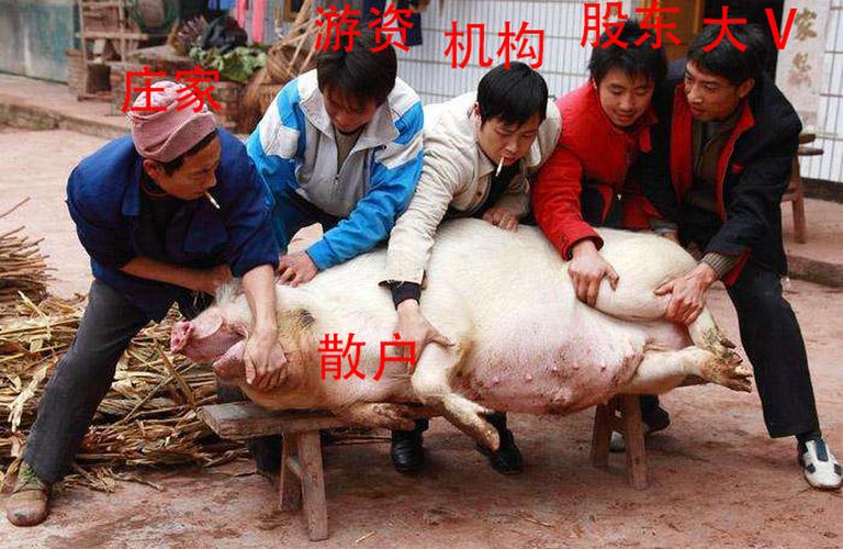 股票配资公司gzmnpz：警惕杀猪盘，散户如何避开荐股陷阱