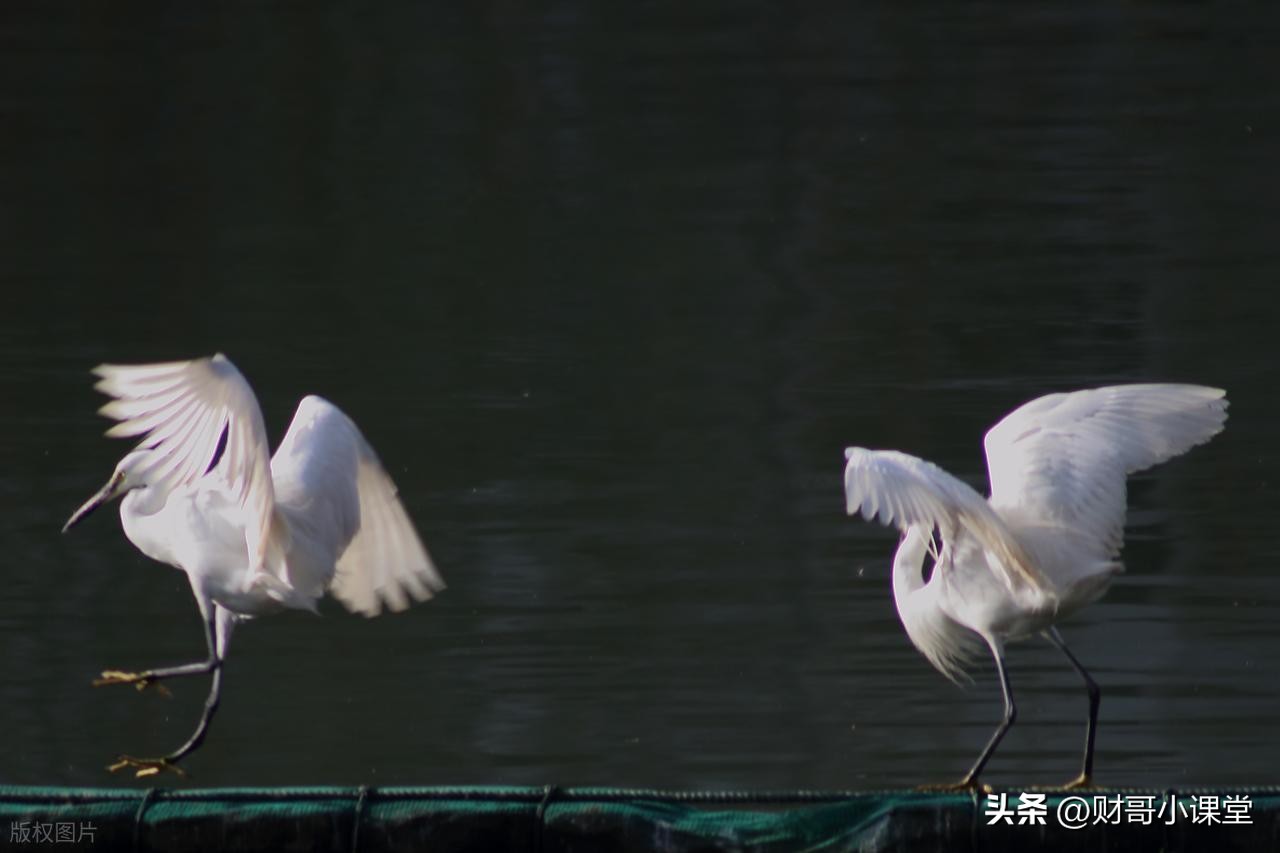 公司股票交易企业所得税处理_股票流通是什么意思_公司买卖股票增值税税率