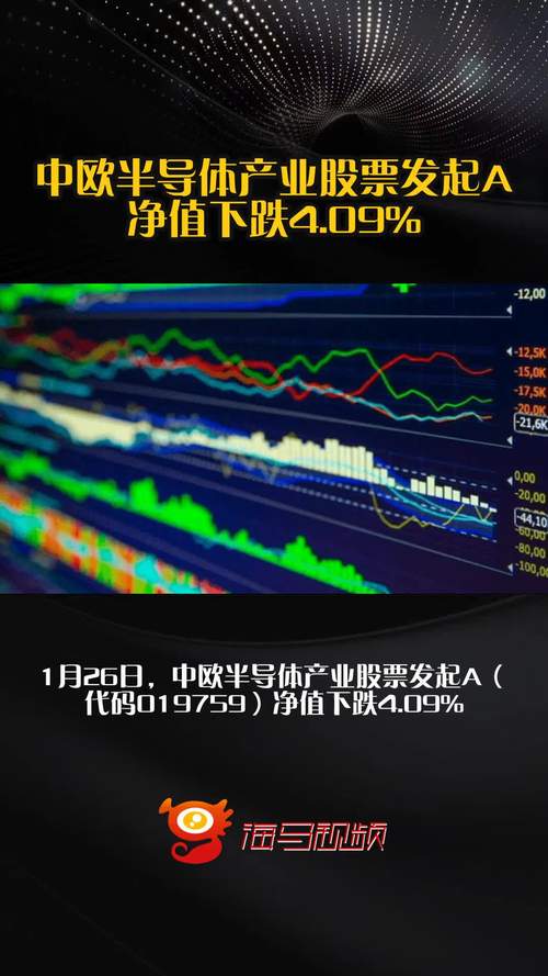 中欧电子信息产业沪港深C股(005763)