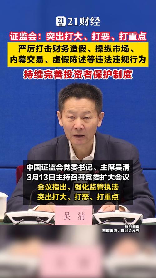 证监会查配资_虚假陈述 中介机构未勤勉尽责 欺诈发行 财务造假 信息披露 违规违法 案件 查处 操纵市场 勤勉尽责 评估机构 程序不到位